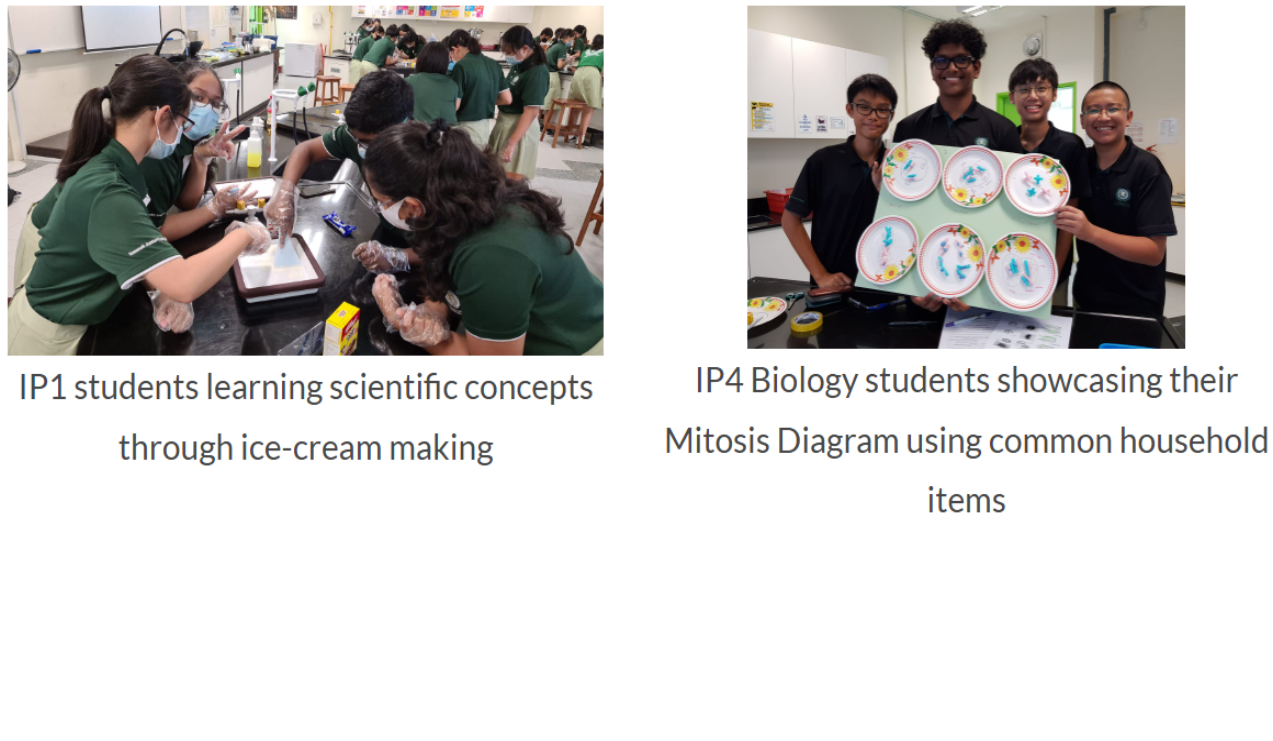 A group of students preparing ice cream in a shallow container. Another group of students holding up a display board containing six decorated paper plates that illustrate the stages of mitosis.
